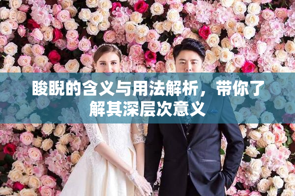 睃睨的含义与用法解析，带你了解其深层次意义