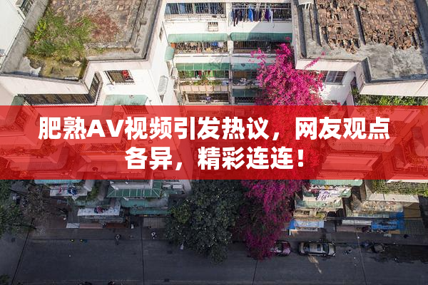 肥熟AV视频引发热议，网友观点各异，精彩连连！