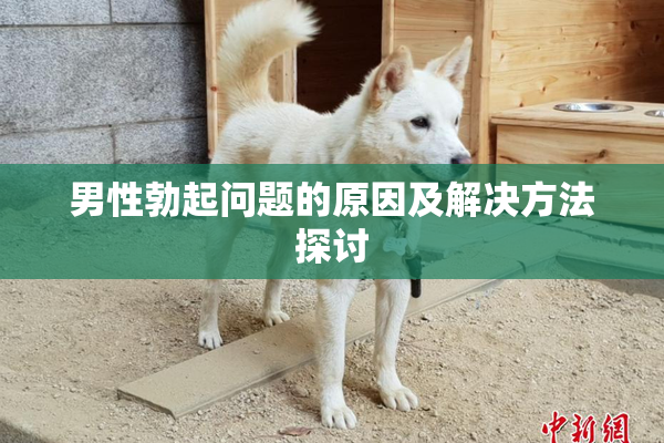 男性勃起问题的原因及解决方法探讨