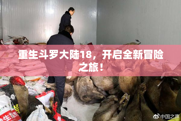 重生斗罗大陆18，开启全新冒险之旅！