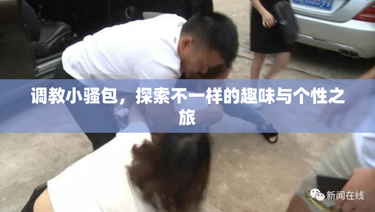 调教小骚包，探索不一样的趣味与个性之旅