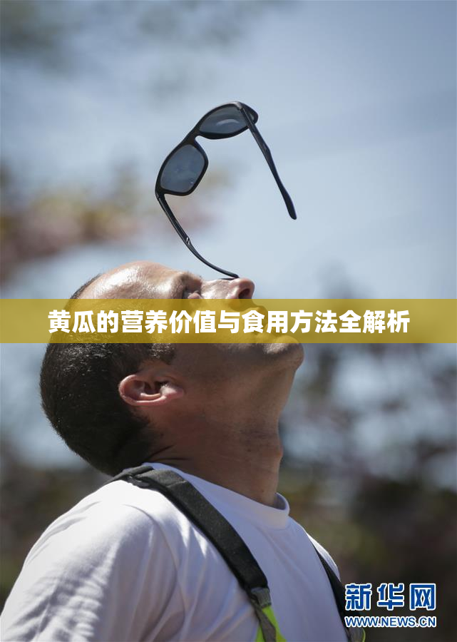 黄瓜的营养价值与食用方法全解析