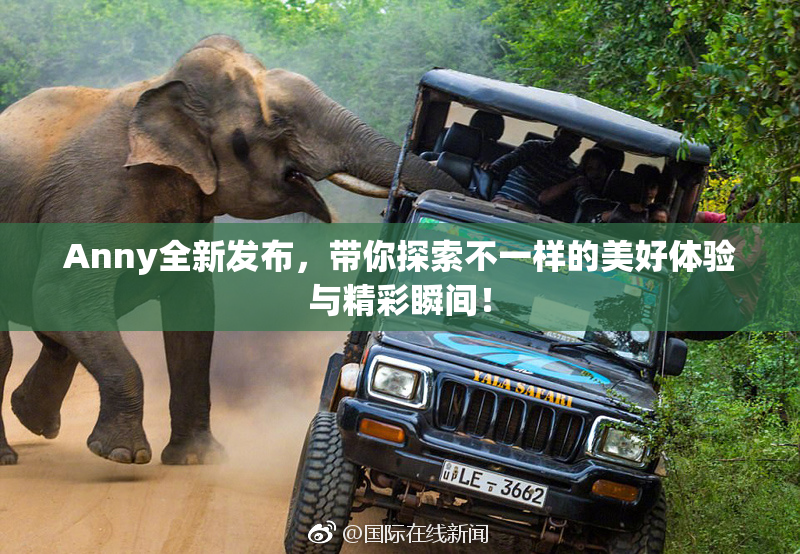 Anny全新发布，带你探索不一样的美好体验与精彩瞬间！