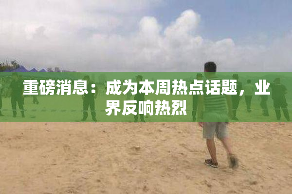 重磅消息：成为本周热点话题，业界反响热烈