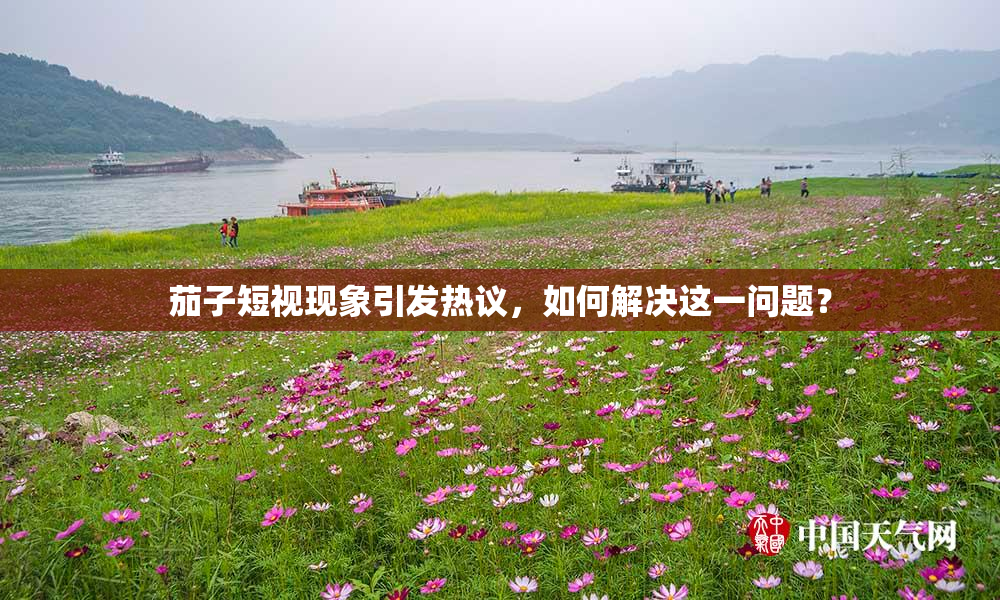 茄子短视现象引发热议，如何解决这一问题？