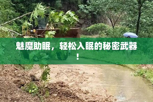 魅魔助眠，轻松入眠的秘密武器！