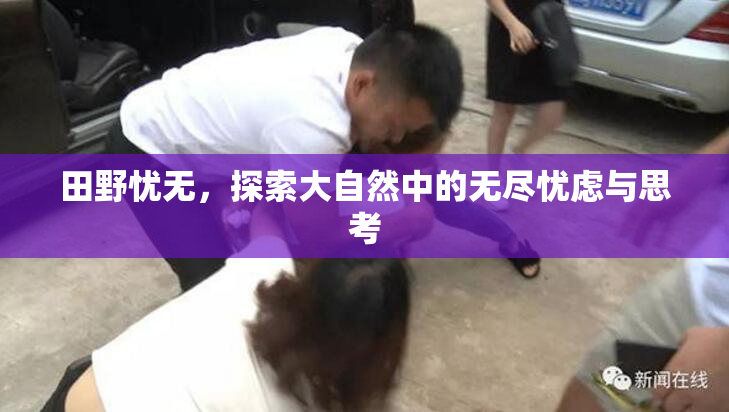 田野忧无，探索大自然中的无尽忧虑与思考