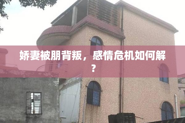 娇妻被朋背叛，感情危机如何解？