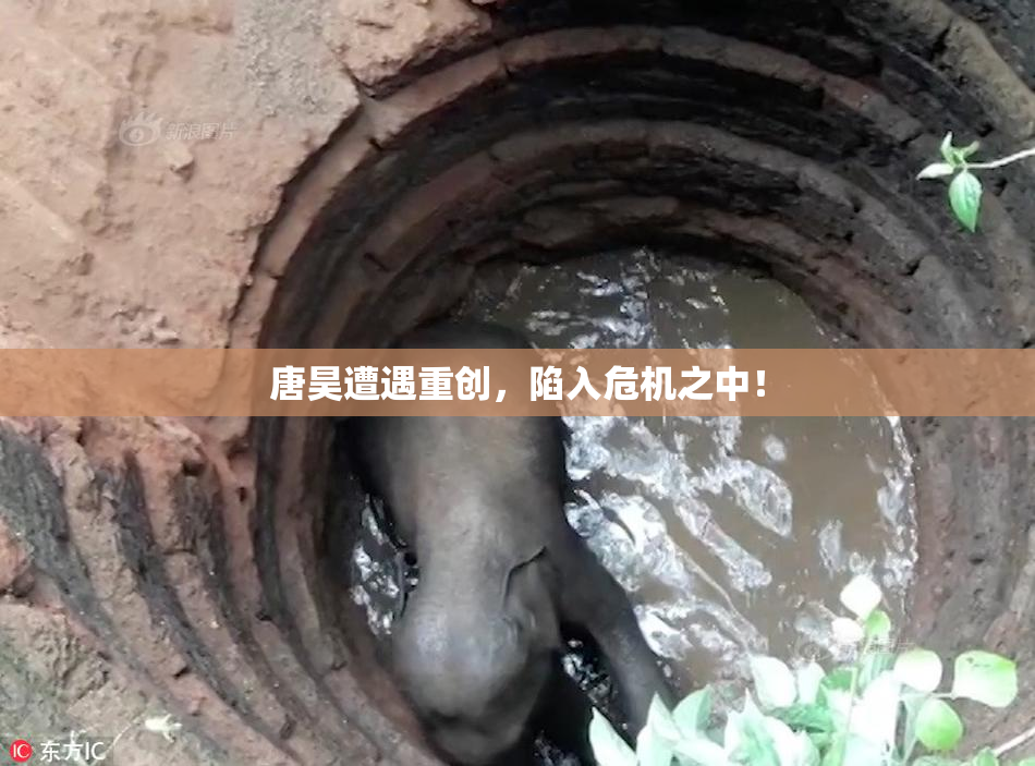唐昊遭遇重创，陷入危机之中！