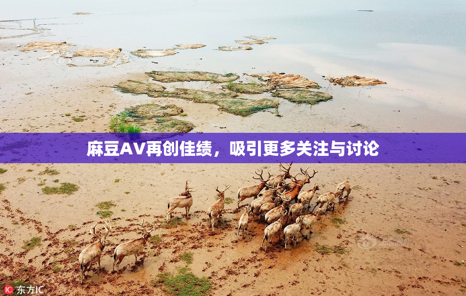 麻豆A∨再创佳绩，吸引更多关注与讨论
