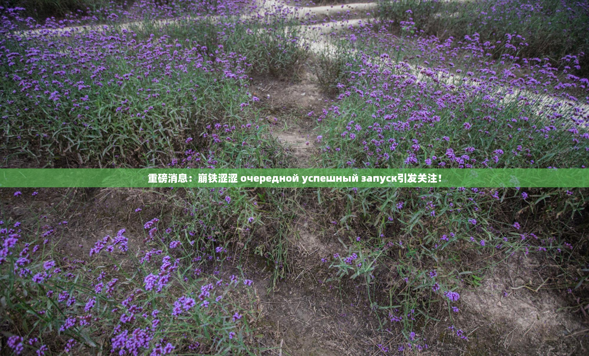 重磅消息：崩铁涩涩 очередной успешный запуск引发关注！