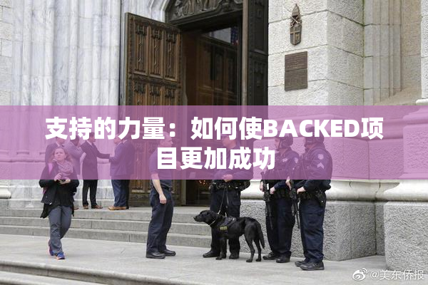 支持的力量：如何使BACKED项目更加成功
