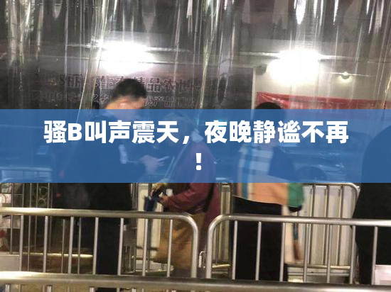 骚B叫声震天，夜晚静谧不再！