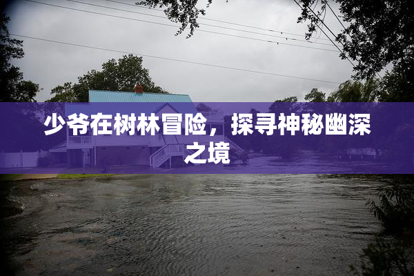 少爷在树林冒险，探寻神秘幽深之境
