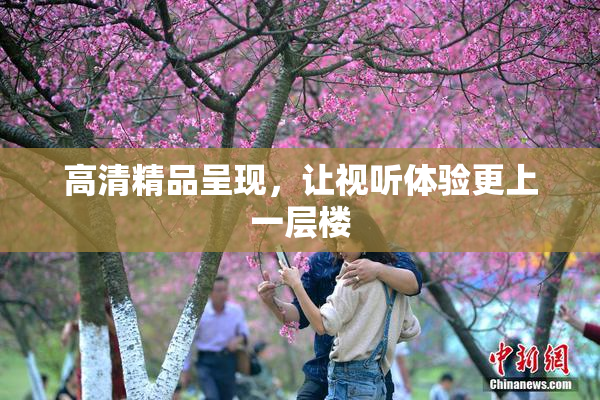 高清精品呈现，让视听体验更上一层楼