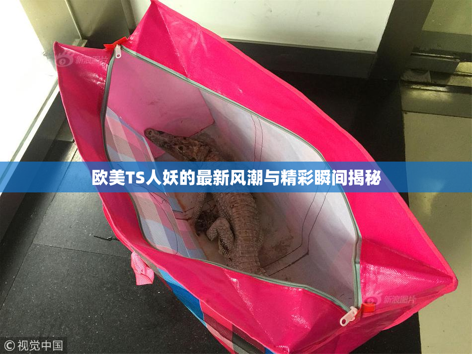 欧美TS人妖的最新风潮与精彩瞬间揭秘