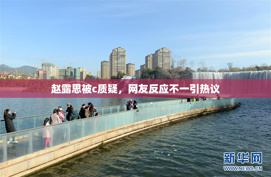 赵露思被c质疑，网友反应不一引热议