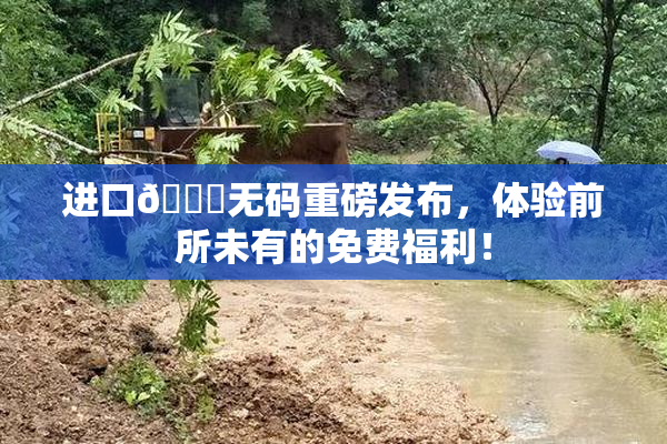 进口🔞无码重磅发布，体验前所未有的免费福利！