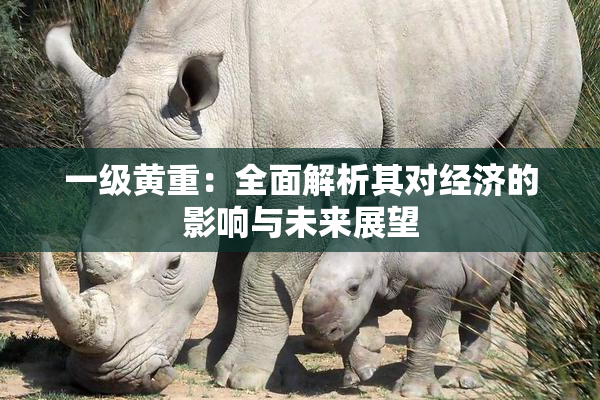 一级黄重：全面解析其对经济的影响与未来展望