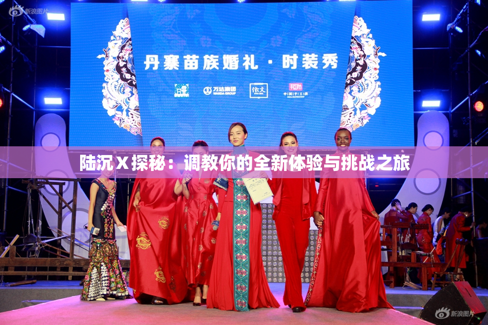 陆沉Ⅹ探秘：调教你的全新体验与挑战之旅