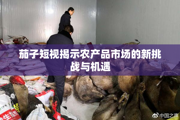 茄子短视揭示农产品市场的新挑战与机遇