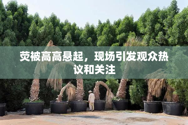荧被高高悬起，现场引发观众热议和关注