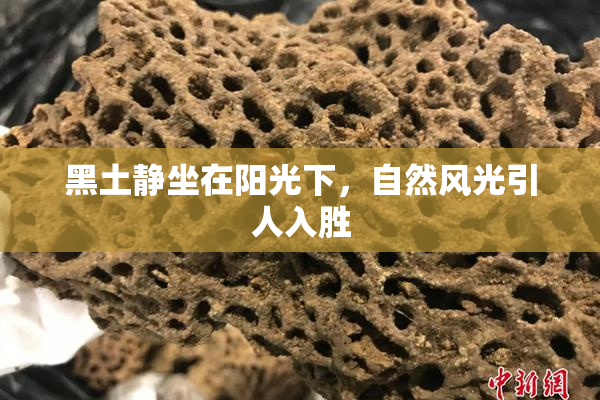 黑土静坐在阳光下，自然风光引人入胜