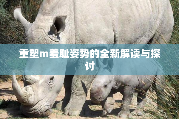 重塑m羞耻姿势的全新解读与探讨