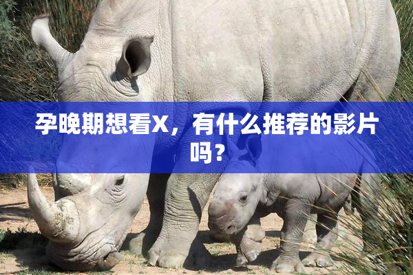 孕晚期想看X，有什么推荐的影片吗？