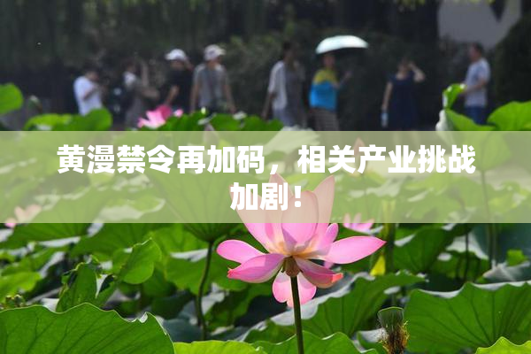 黄漫禁令再加码，相关产业挑战加剧！