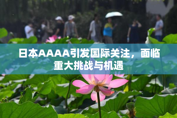 日本AAAA引发国际关注，面临重大挑战与机遇