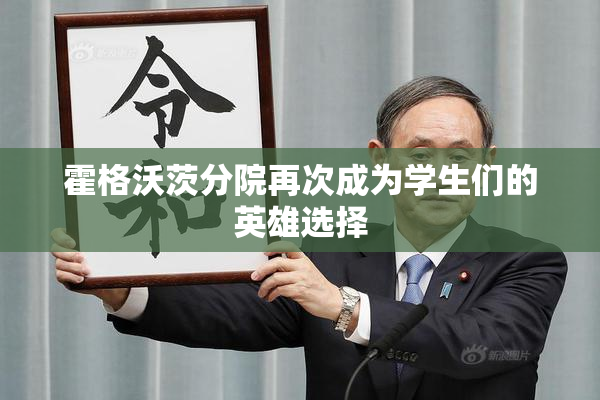 霍格沃茨分院再次成为学生们的英雄选择