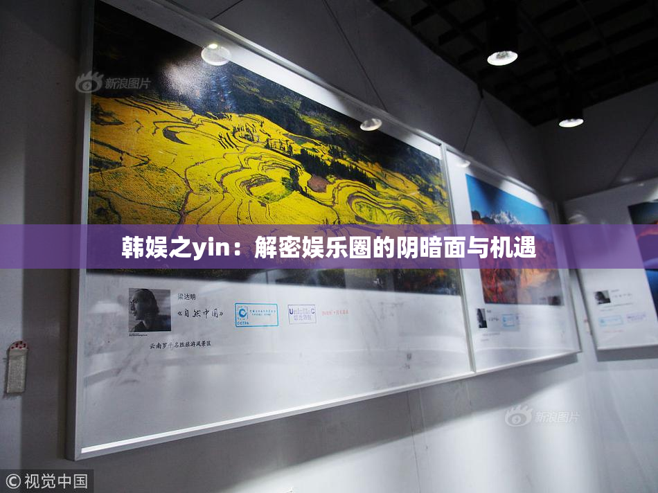 韩娱之yin：解密娱乐圈的阴暗面与机遇