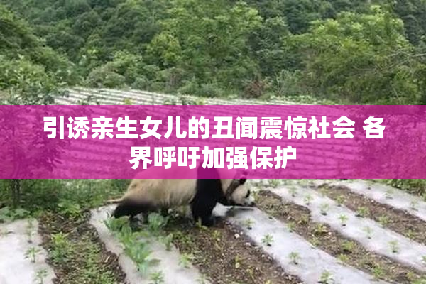 引诱亲生女儿的丑闻震惊社会 各界呼吁加强保护