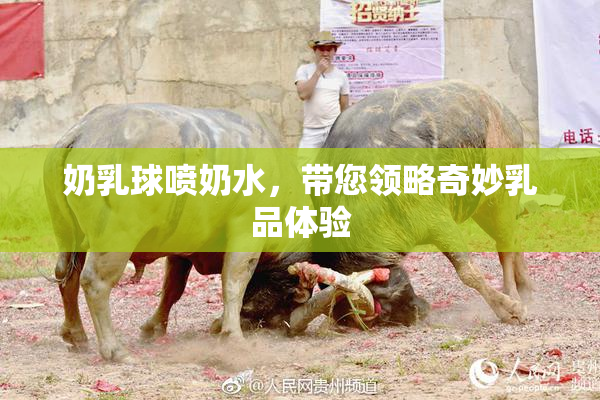 奶乳球喷奶水，带您领略奇妙乳品体验
