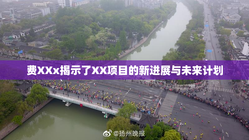 费XXx揭示了XX项目的新进展与未来计划