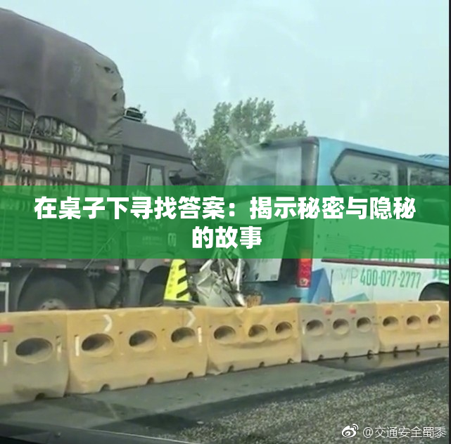 在桌子下寻找答案：揭示秘密与隐秘的故事