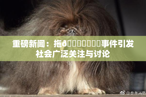 重磅新闻：拖👙❌‌❌‌事件引发社会广泛关注与讨论