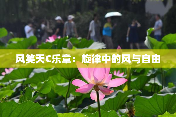 风笑天C乐章：旋律中的风与自由