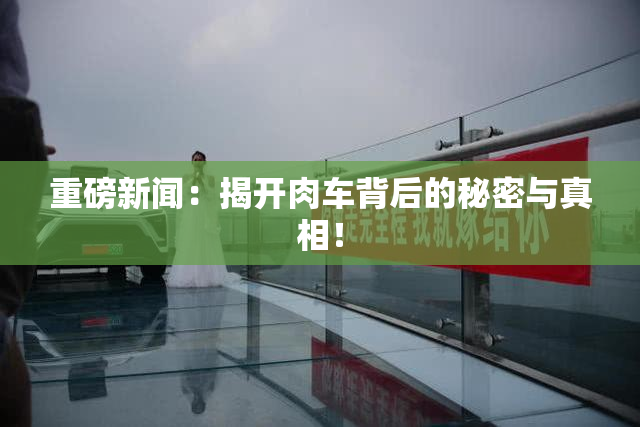 重磅新闻：揭开肉车背后的秘密与真相！