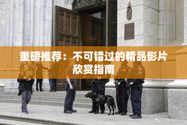 重磅推荐：不可错过的精品影片欣赏指南