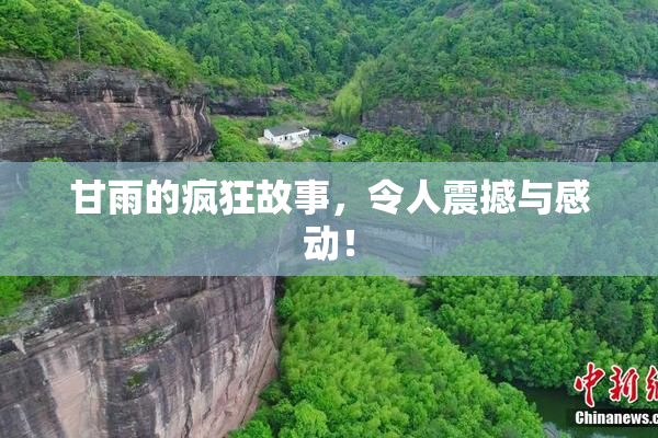 甘雨的疯狂故事，令人震撼与感动！