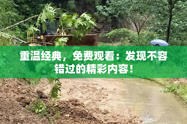 重温经典，免费观看：发现不容错过的精彩内容！