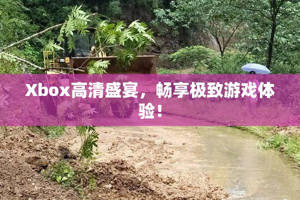 Xbox高清盛宴，畅享极致游戏体验！