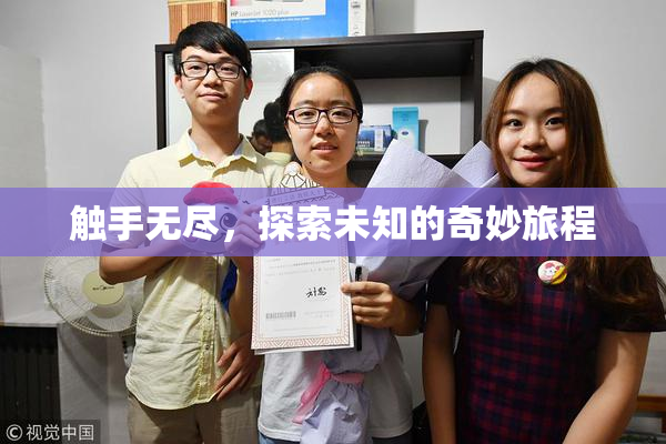 触手无尽，探索未知的奇妙旅程