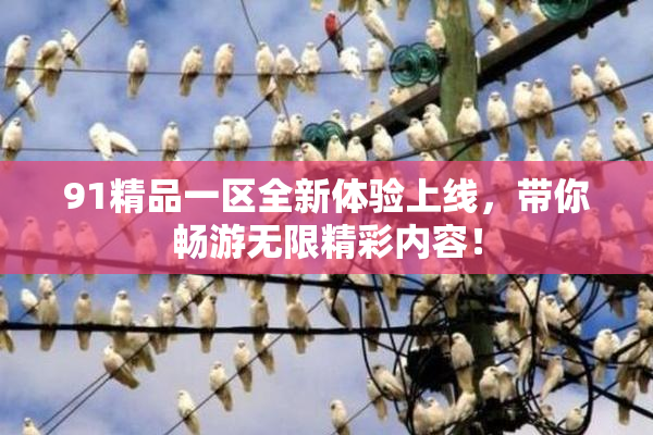 91精品一区全新体验上线，带你畅游无限精彩内容！