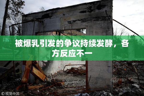 被爆乳引发的争议持续发酵，各方反应不一