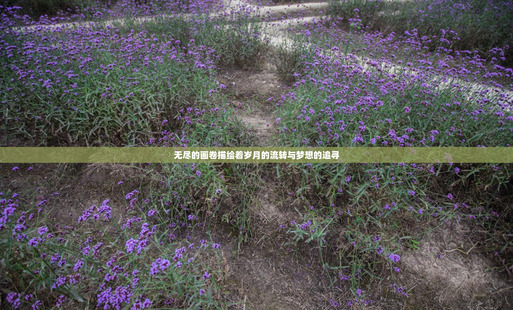 无尽的画卷描绘着岁月的流转与梦想的追寻
