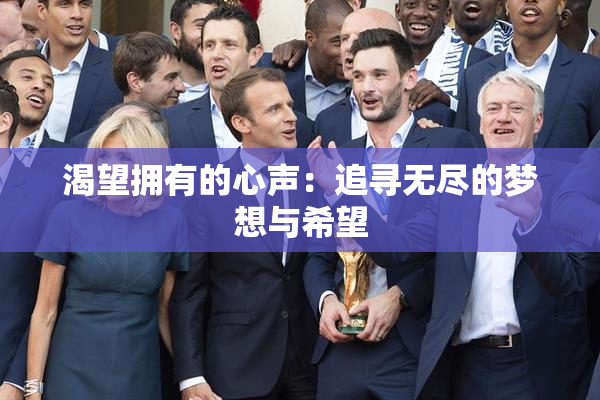 渴望拥有的心声：追寻无尽的梦想与希望