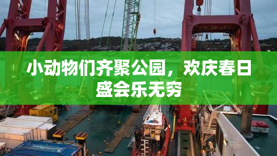 小动物们齐聚公园，欢庆春日盛会乐无穷